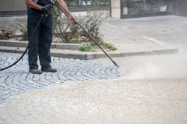 Best Pre-Holiday Cleaning  in Meeker, CO